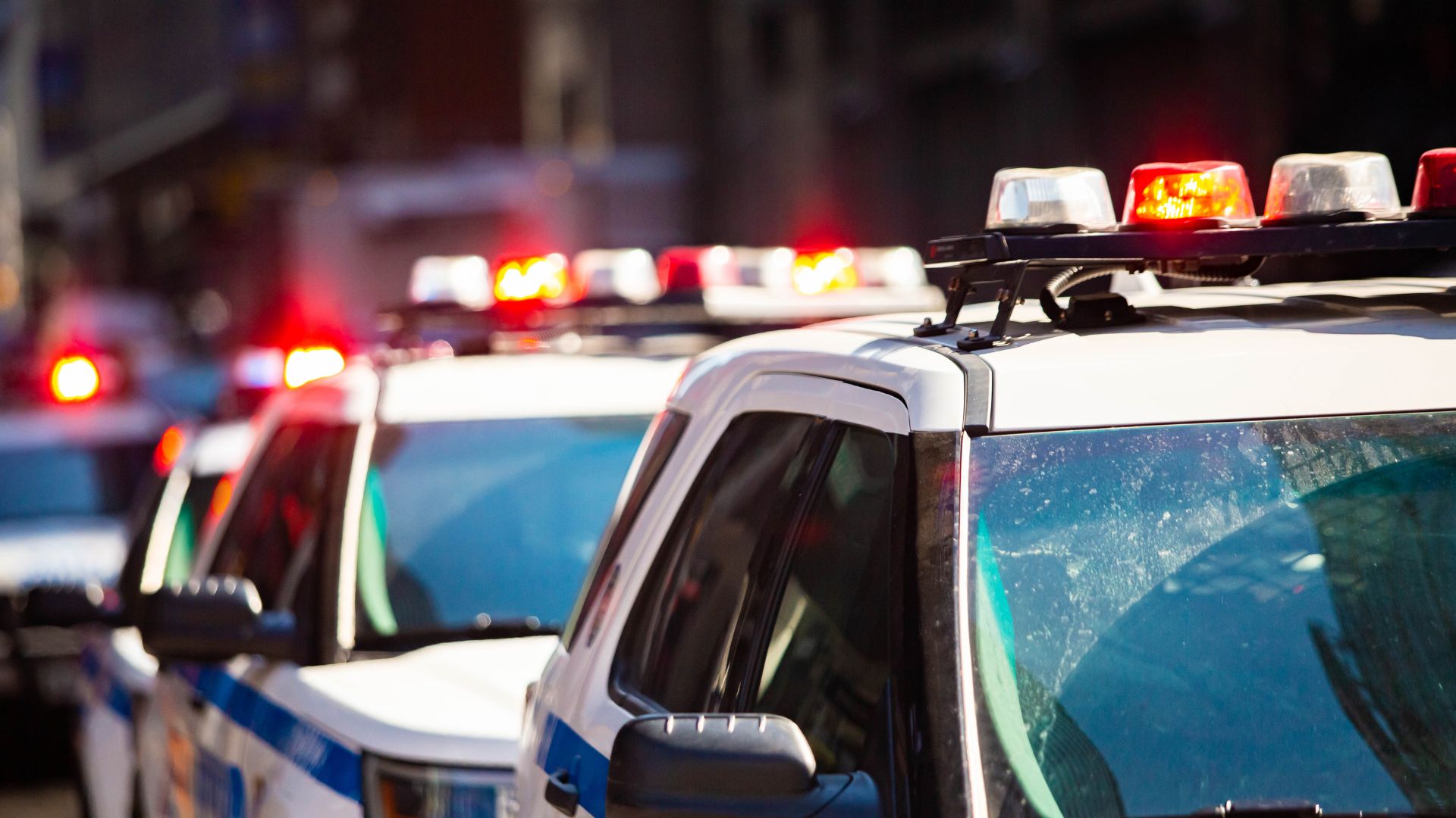 Police cars with flashing lights parked on city street at night